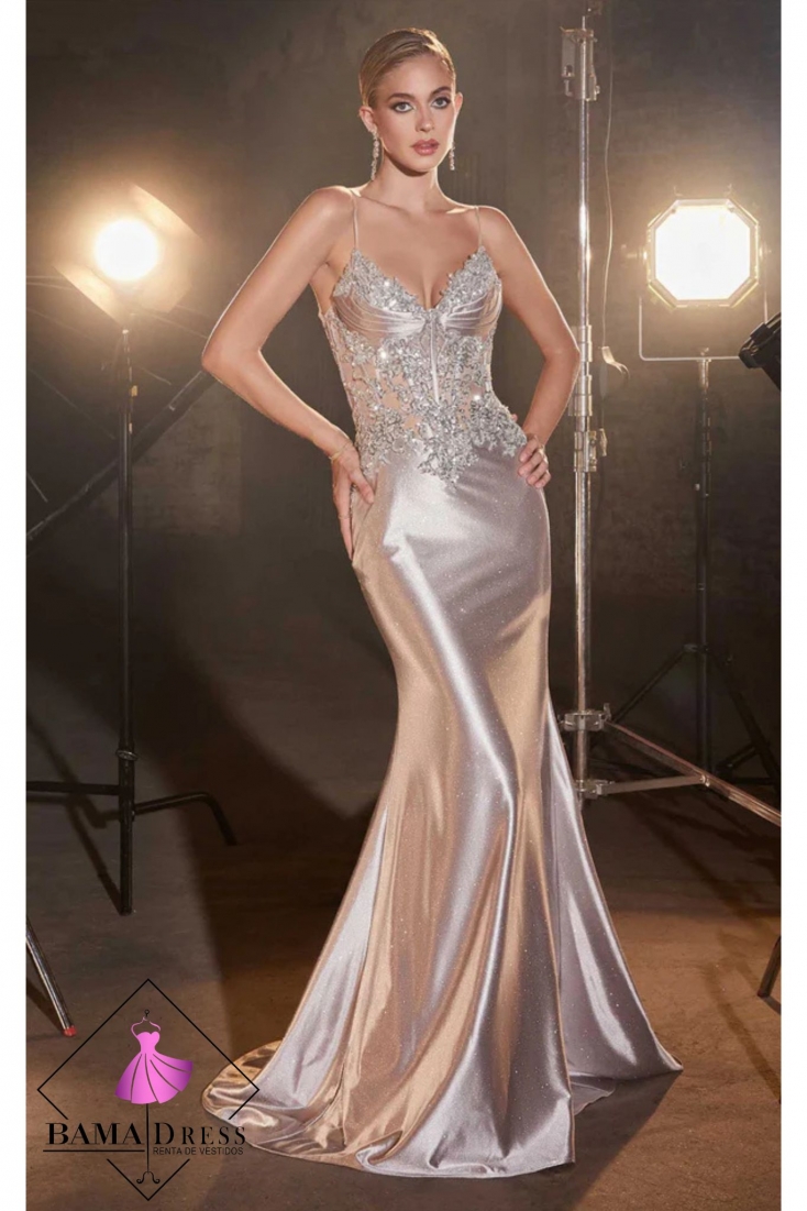 vestido-99660